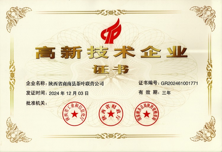 高新技术企业