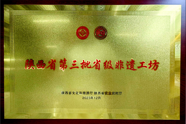 陕西省第三批非遗工坊